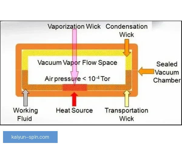 多萨里技术特点